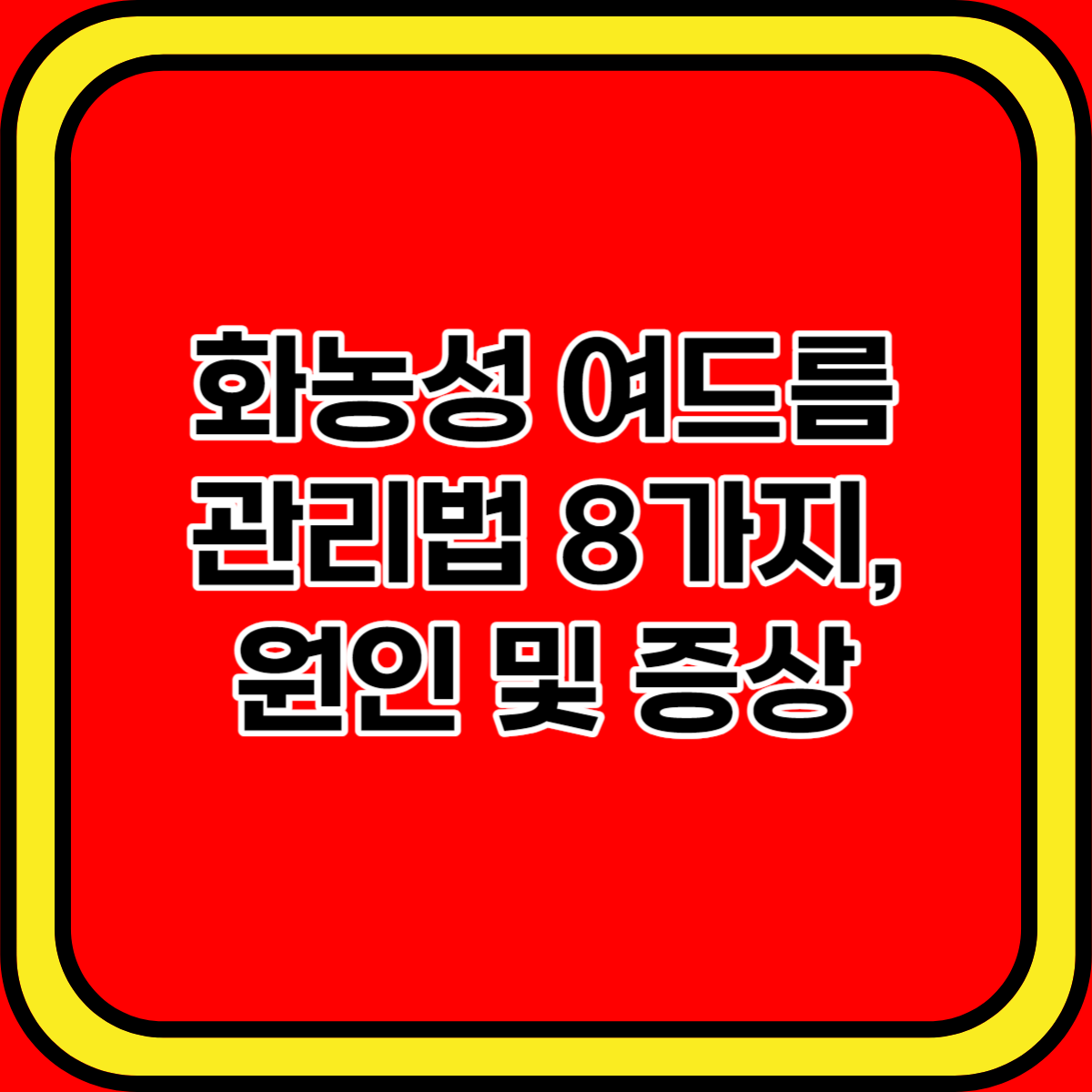 화농성 여드름 관리법